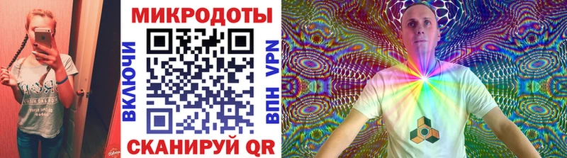 блэк спрут tor  Цоци-Юрт  Псилоцибиновые грибы Cubensis 